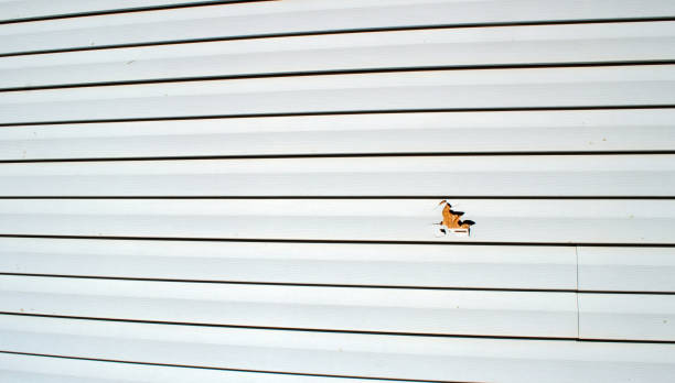 Best Stucco Siding  in Woodbury, NJ