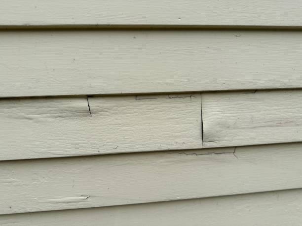 Best Steel Siding Installation  in Woodbury, NJ